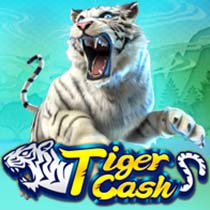 Tiger Cash